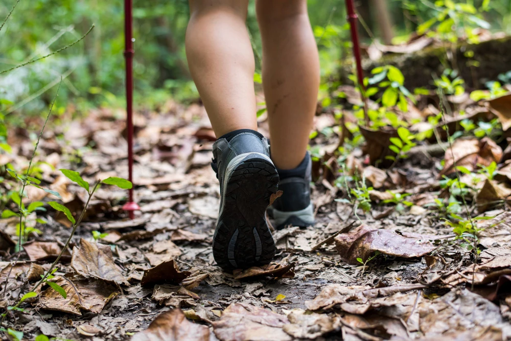 La marche nordique : une activité physique pour tous